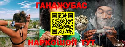 гашик Волгодонск