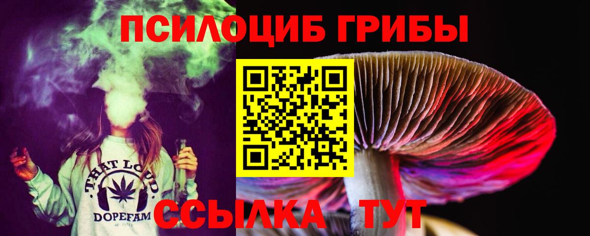 Псилоцибиновые грибы Cubensis  Псилоцибиновые грибы Psilocybine cubensis  Мытищи  Вход с VPN 
